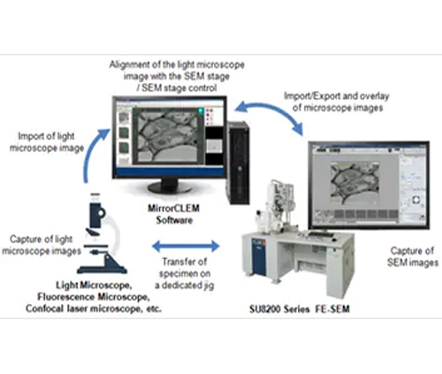 Optical-electric combined microscope method (CLEM) system MirrorCLEM